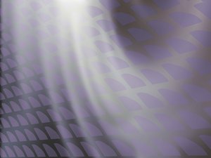 公主嶺市項目有限責任公司