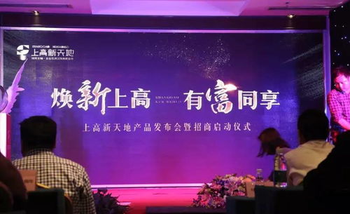 上高人歡呼，見證信息咨詢的奇跡時刻